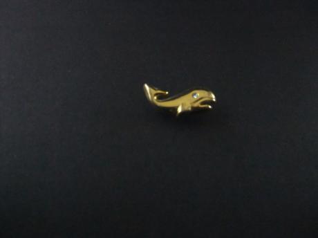 Walvis ( Zoogdier) goudkleurig